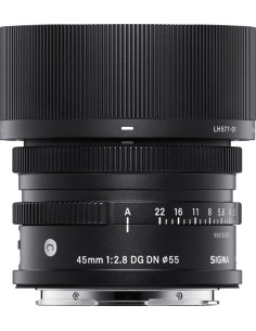 fP + AF 45mm f / 2.8 (c) DG DN 2